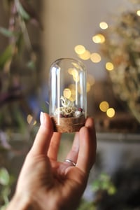 Image 2 of Campana con teschio di topolino