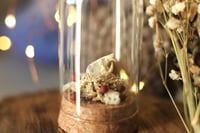 Image 4 of Campana con teschio di topolino