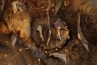 Image 5 of Ciondolo punta di corno -Capriolo- 🌿