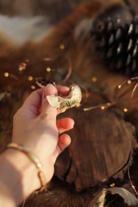 Image 5 of Collana Altas di Volpe