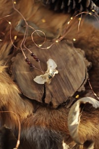 Image 1 of Collana Altas di Volpe