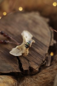 Image 4 of Collana Altas di Volpe