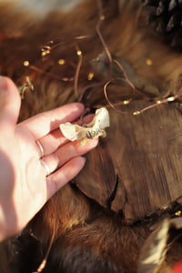 Image 3 of Collana Altas di Volpe