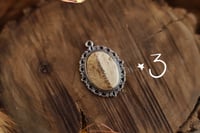 Image 3 of Ciondolo Sutura Cranica