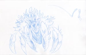 Image of SEA BEASTS - Hermit Crab