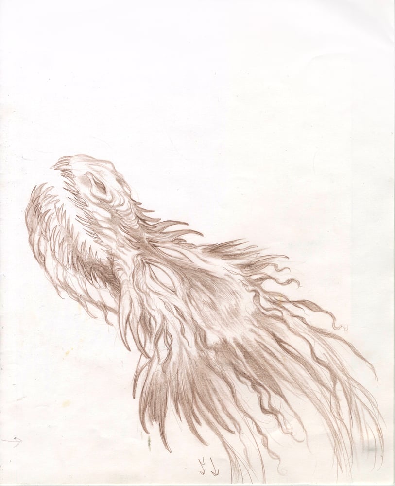 Image of SEA BEASTS - Dragon