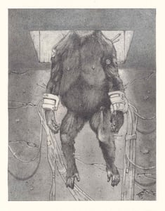 Image of Then God is Seven