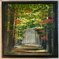 Image 7 of 'Woodland Wanderings'