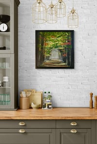 Image 6 of 'Woodland Wanderings'