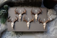 Image 2 of Dýr Necklace 