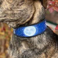 Image 1 of Lunar Canis Major Collar