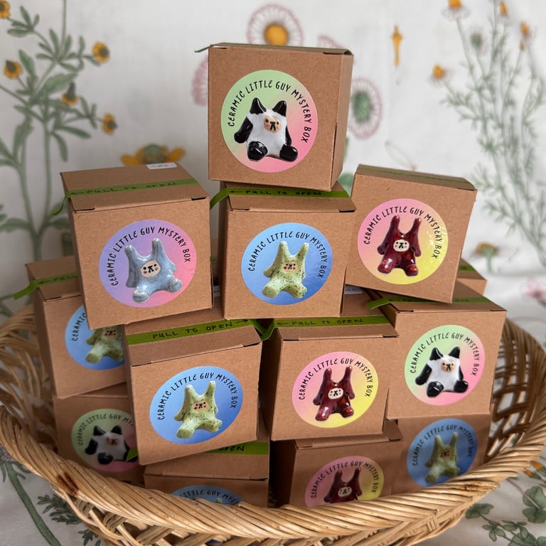 Little Guy Mystery Box