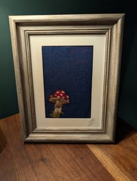 Toadstool 