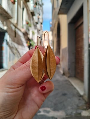 Orecchini  finitura satinata