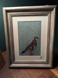 Red Legged Partridge 