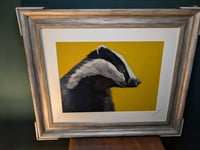 Badger 