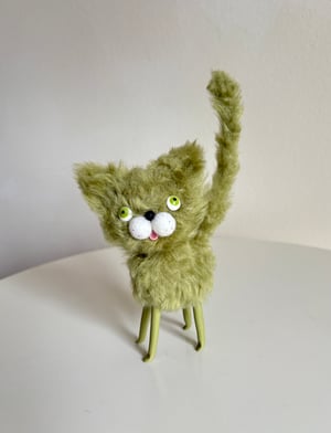 Image of Wooly Bully Cat in Frankenstein Green