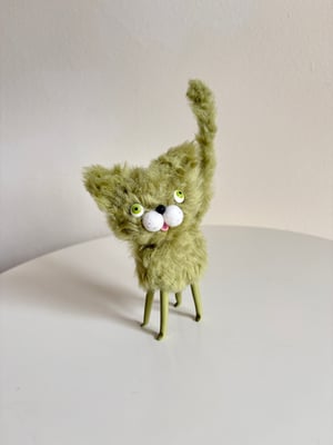Image of Wooly Bully Cat in Frankenstein Green