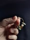 Image of Boucles d'oreilles 9