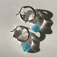 Clear Glass Earrings