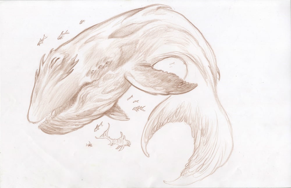 Image of SEA BEASTS - Monster Whale