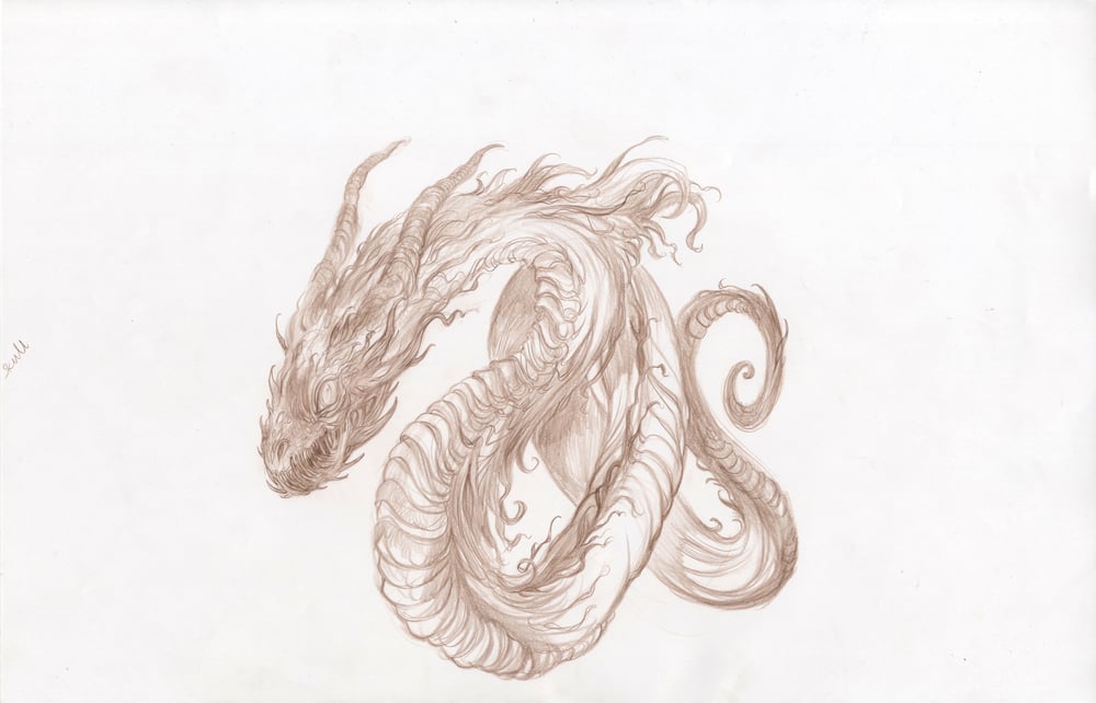 Image of SEA BEASTS - Sea Snake