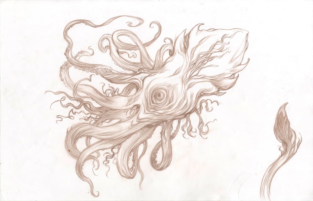 Image of SEA BEASTS - Squid