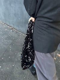 Image 3 of Moonlight Hobo 