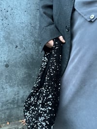 Image 8 of Moonlight Hobo 