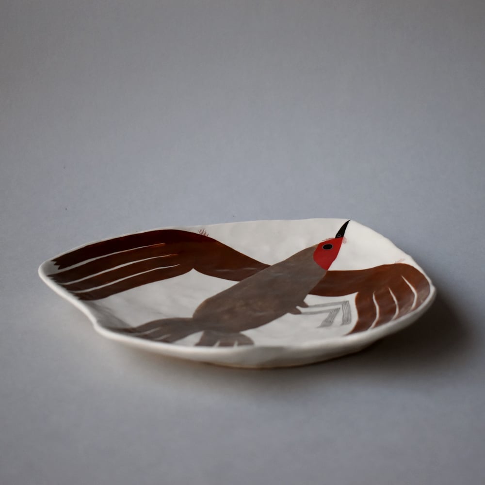 Image of Robin Plate