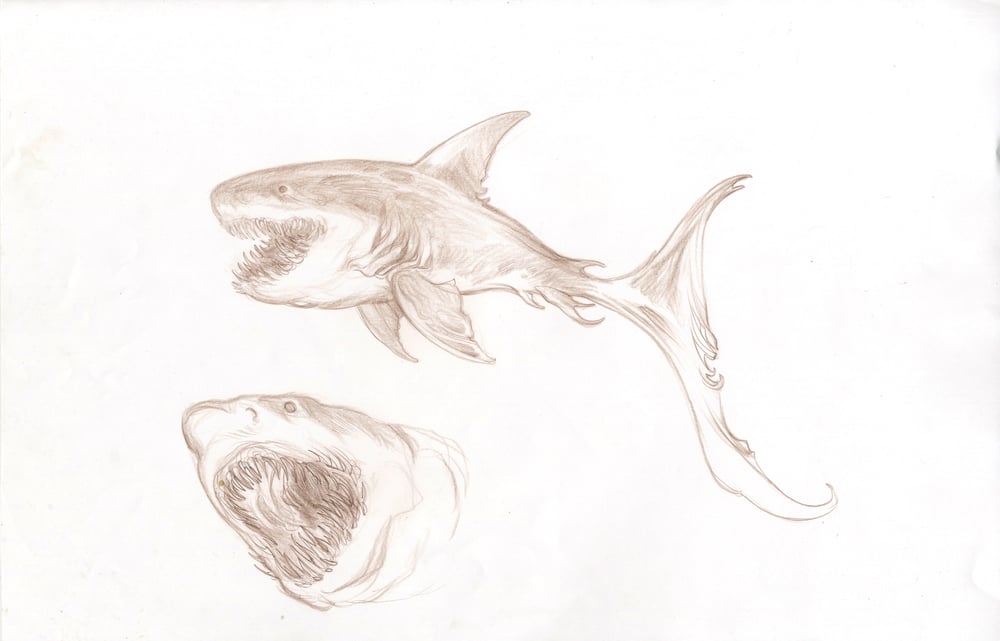 Image of SEA BEASTS - Hell Shark with Alt. Head Study