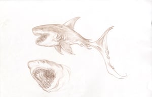 Image of SEA BEASTS - Hell Shark with Alt. Head Study