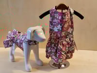 Image 2 of Apron Dress - White Daisies