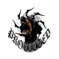 Image 2 of GUARD MODE — STICKER