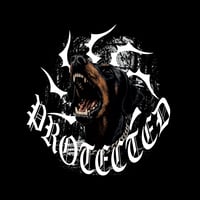 Image 3 of GUARD MODE — STICKER