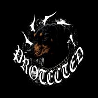 Image 2 of IRON LOYALTY — STICKER