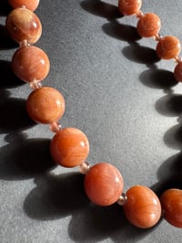 Image 7 of Golden Hour