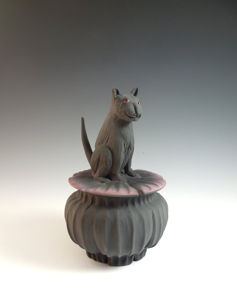 Image of Black Devil Cat