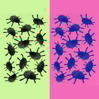 Lucky Lady Bug Print