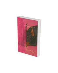 romāns "tur, tālumā, gaudo asinssuns" [vāks nr. 2]