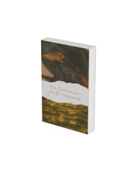 romāns "tur, tālumā, gaudo asinssuns" [vāks nr. 3]