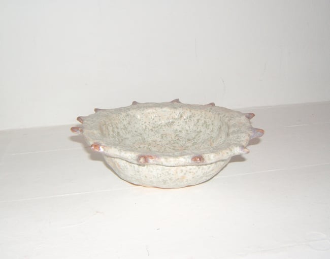 Bowl with Thorns