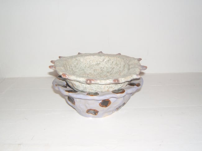 Bowl with Thorns