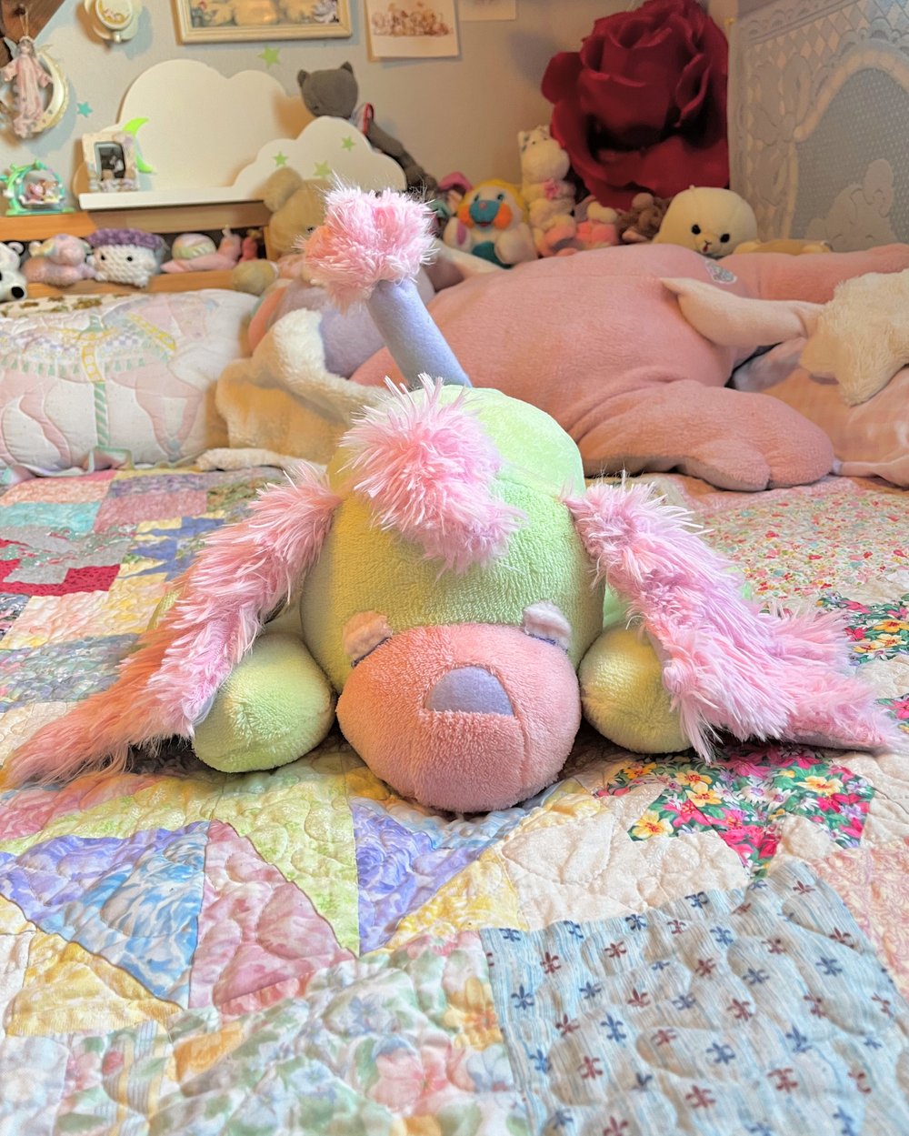 Image of Starpup; TAMA