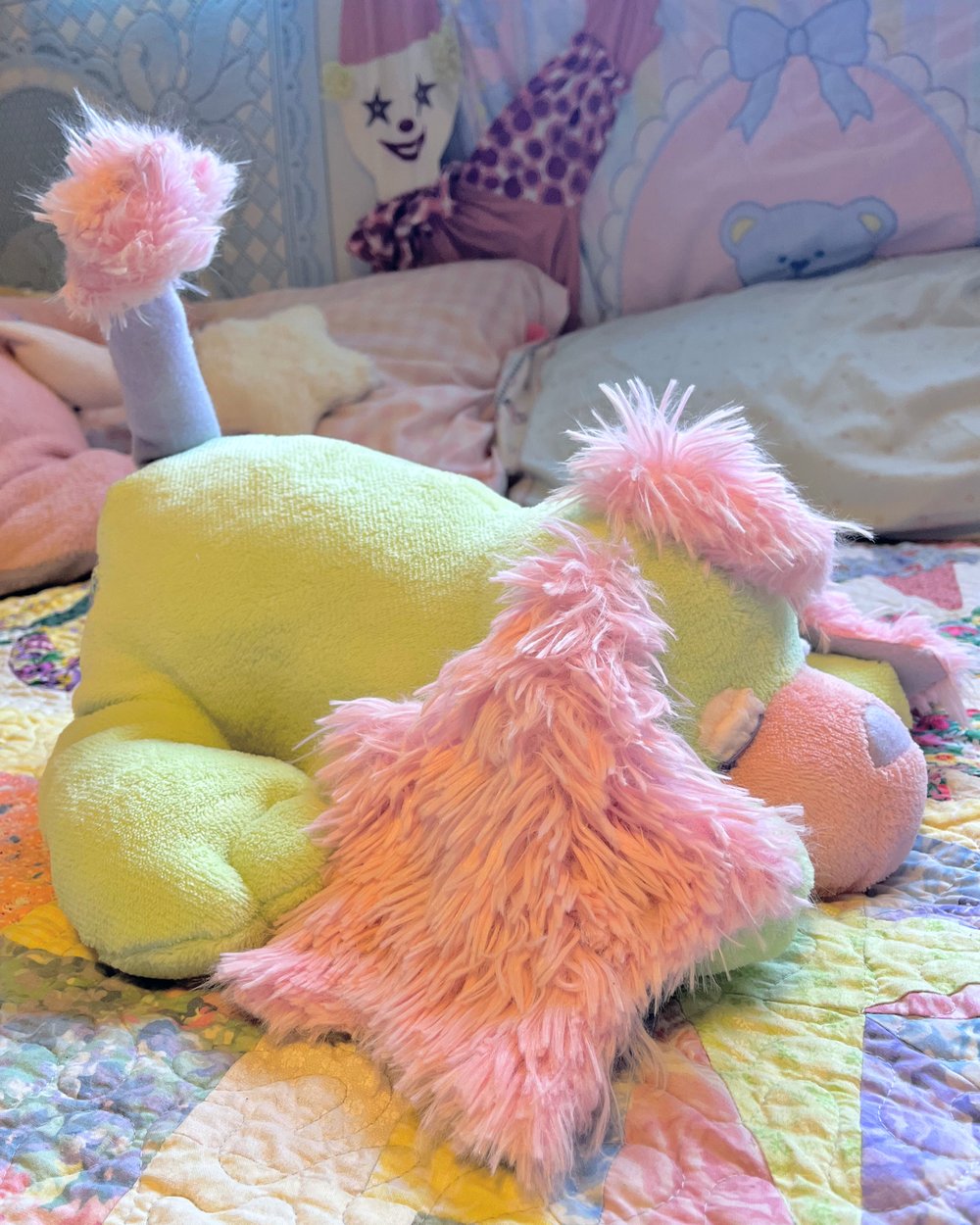 Image of Starpup; TAMA