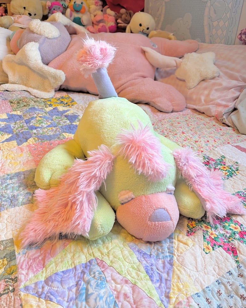 Image of Starpup; TAMA