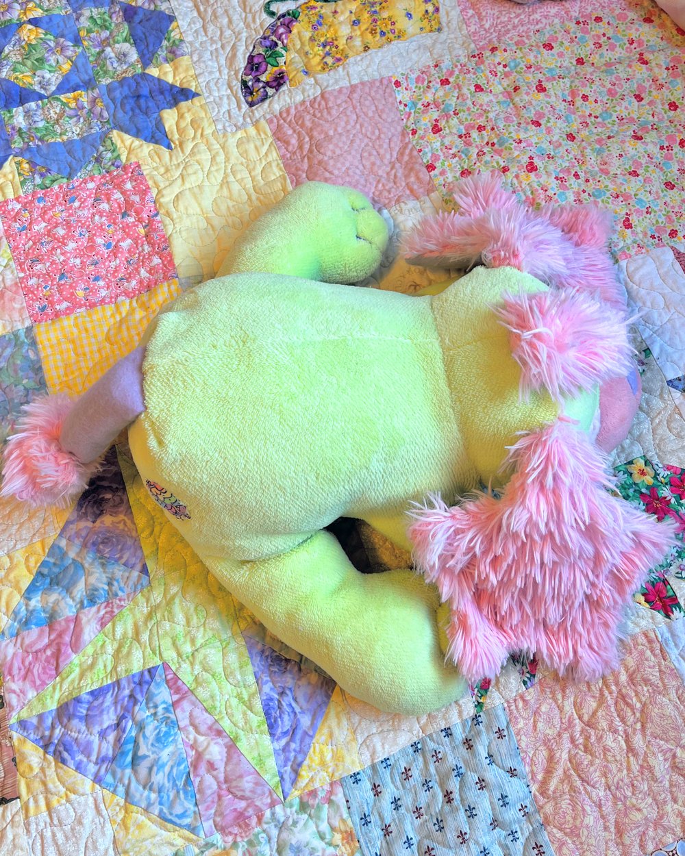 Image of Starpup; TAMA