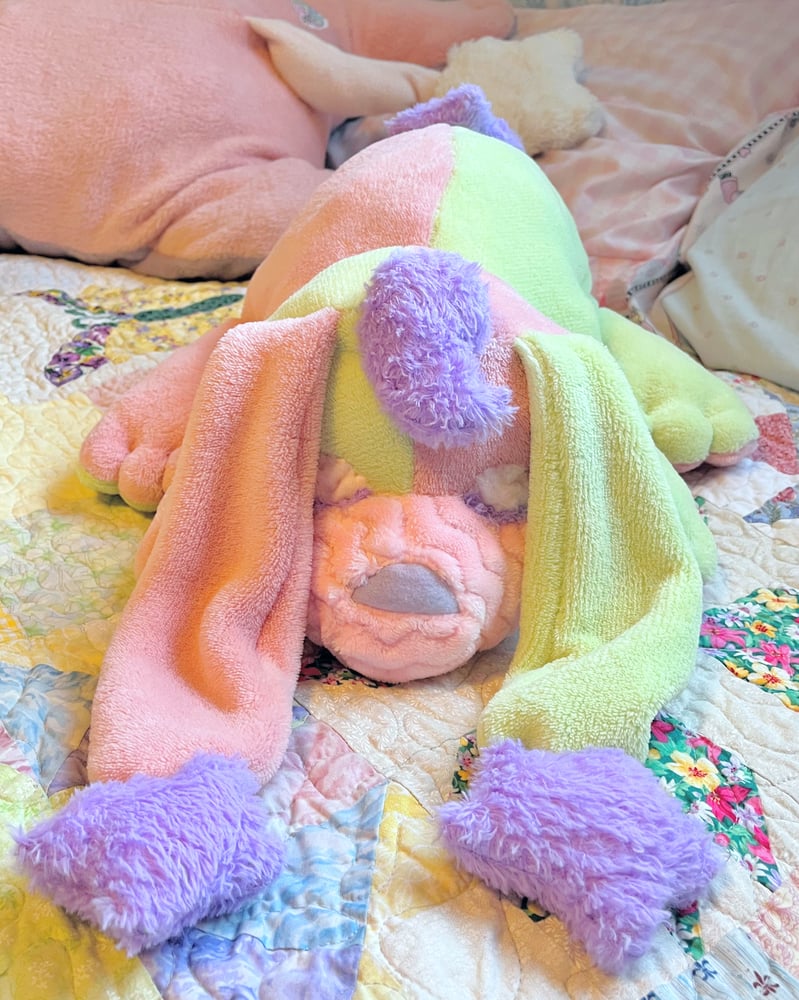 Image of Stardust Bunny!  Wawa Melon! 