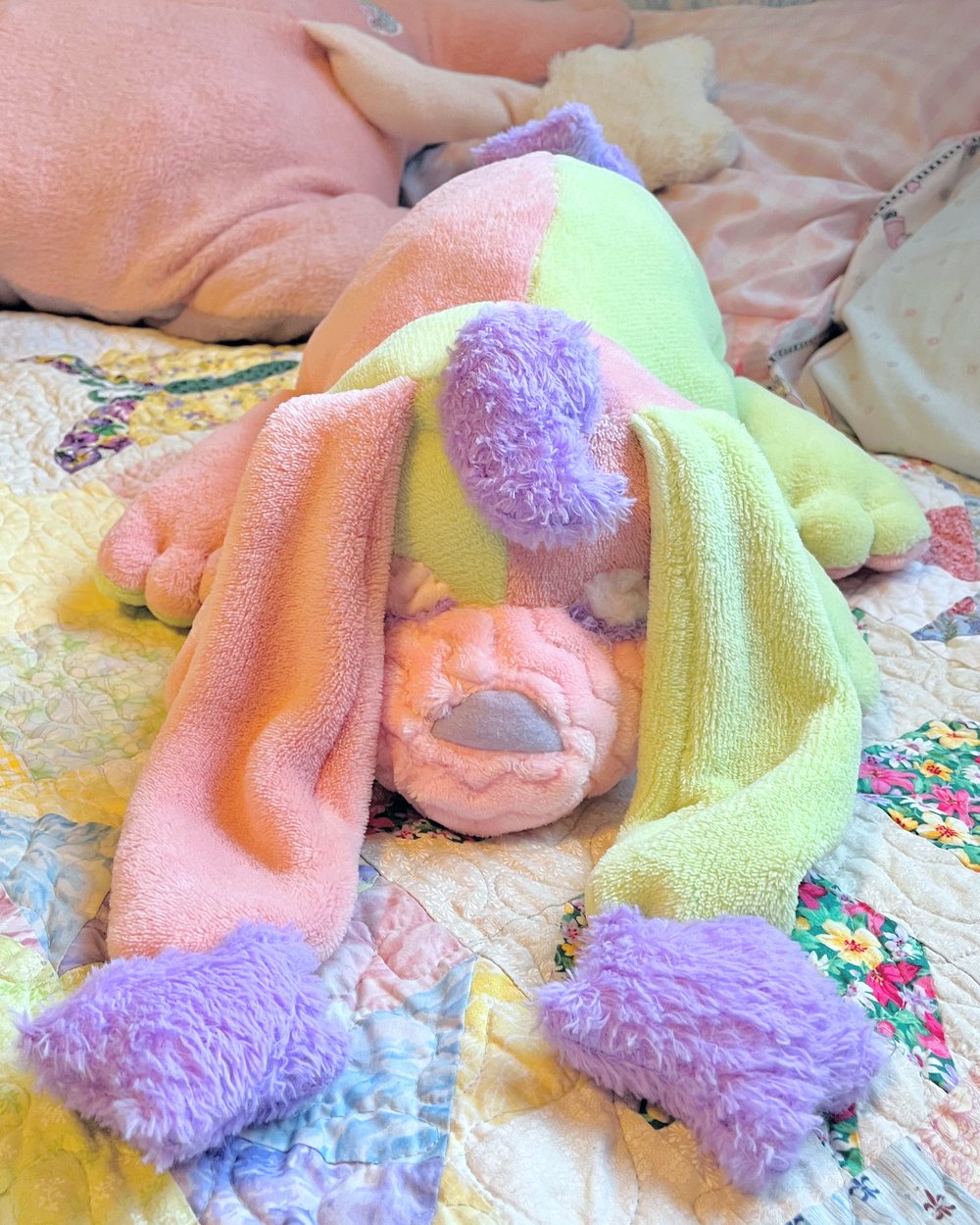 Image of Stardust Bunny!  Wawa Melon! 