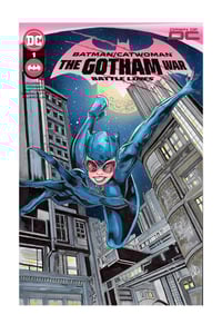 Image 1 of Catwoman original artwork